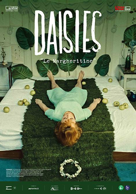 C:\fakepath\Daisies_sito.jpg