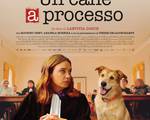 C:\fakepath\Un-cane-a-processo-poster-scaled.jpg