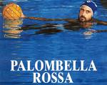 C:\fakepath\palombella.jpg