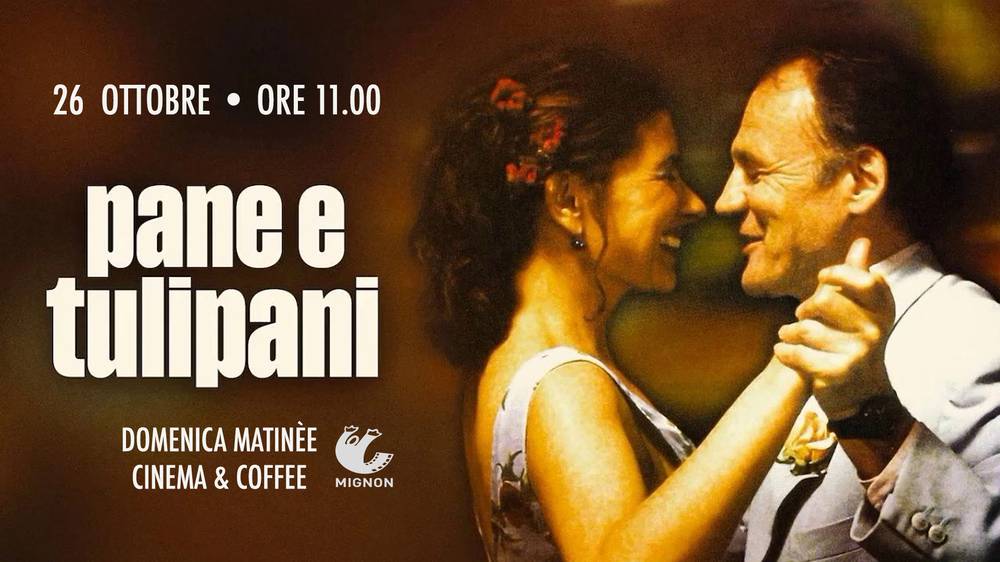 C:\fakepath\tulipani 00 matinee.jpg